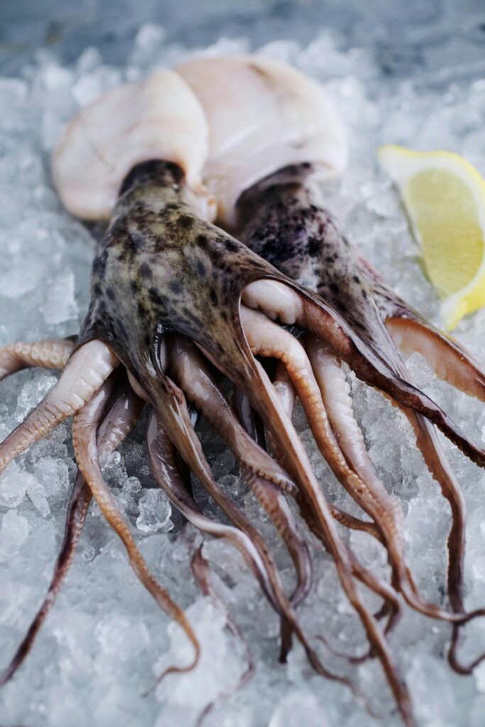 Is Octopus Halal? Original P:icture by Electra