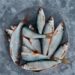 Is Fish Halal?